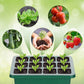 🌱 Bandejas de Cultivo con Luz de Crecimiento – Temporizador, Ajuste de Humedad, Drenaje, Ideal para Germinación de Semillas 50% OFF