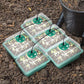 🌱 Bandejas de Cultivo con Luz de Crecimiento – Temporizador, Ajuste de Humedad, Drenaje, Ideal para Germinación de Semillas 50% OFF