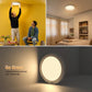 Luz de techo LED recargable con sensor de movimiento y control remoto