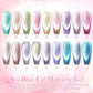 Esmalte de Uñas de Gel 18 Colores Aguamarina Brillante Ojos de Gato
