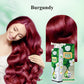 Tinte de Cabello Burbuja con Extracto de Planta Pura para Cabello Canoso